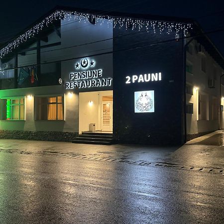 Pensiune Restaurant Pizzerie 2 Pauni Borsa  Exterior photo